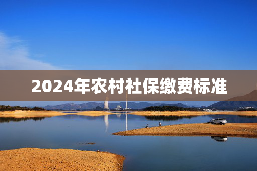 2024年农村社保缴费标准
