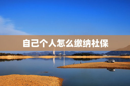 自己个人怎么缴纳社保