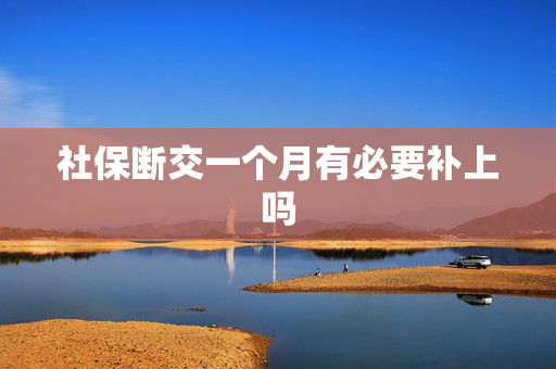 社保断交一个月有必要补上吗