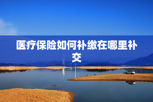 医疗保险如何补缴在哪里补交