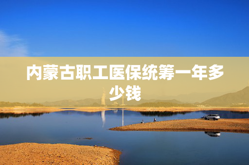 内蒙古职工医保统筹一年多少钱