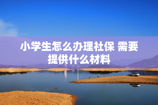 小学生怎么办理社保 需要提供什么材料