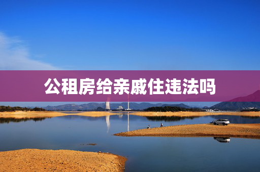 公租房给亲戚住违法吗