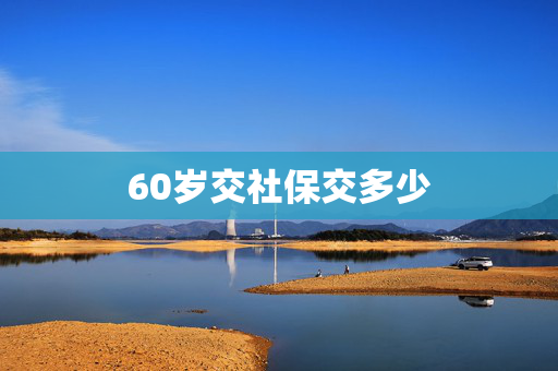 60岁交社保交多少