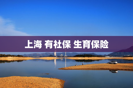上海 有社保 生育保险