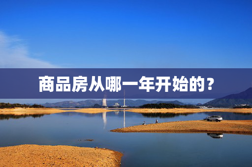 商品房从哪一年开始的？