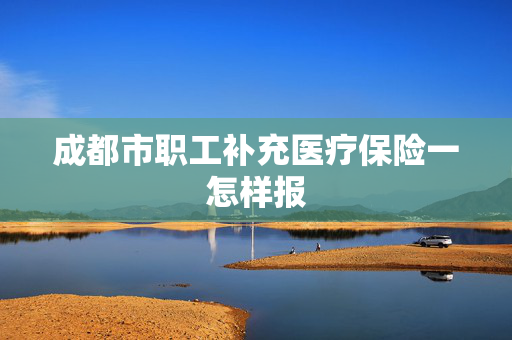 成都市职工补充医疗保险一怎样报