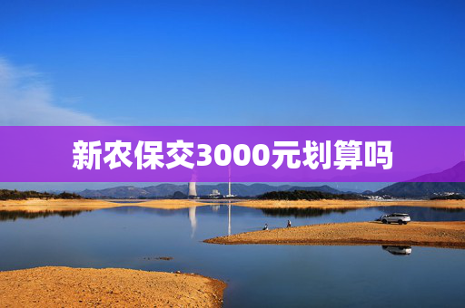 新农保交3000元划算吗