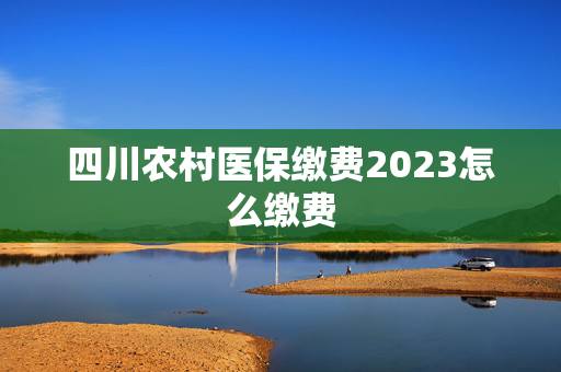 四川农村医保缴费2023怎么缴费