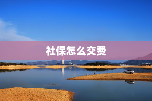 社保怎么交费