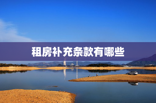 租房补充条款有哪些