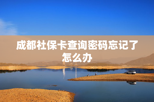 成都社保卡查询密码忘记了怎么办