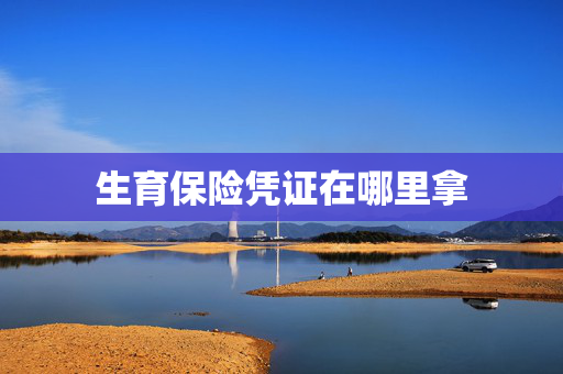 生育保险凭证在哪里拿