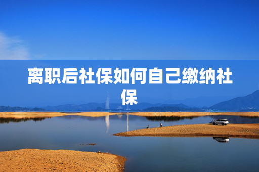 离职后社保如何自己缴纳社保