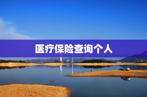 医疗保险查询个人