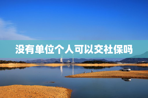 没有单位个人可以交社保吗