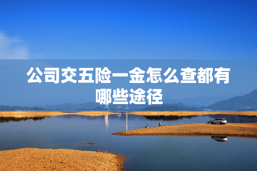 公司交五险一金怎么查都有哪些途径