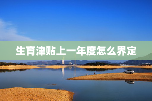 生育津贴上一年度怎么界定