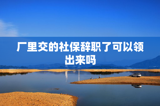 厂里交的社保辞职了可以领出来吗