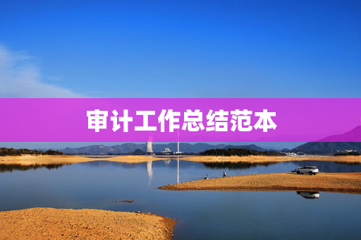 审计工作总结范本