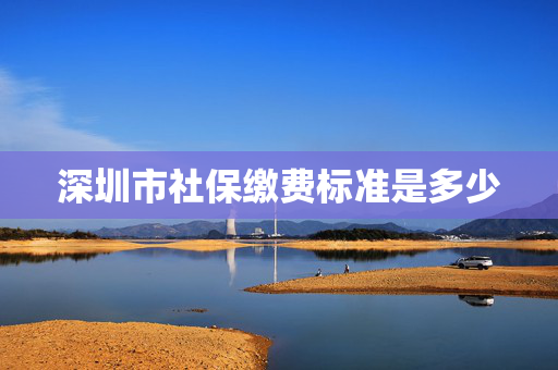 深圳市社保缴费标准是多少
