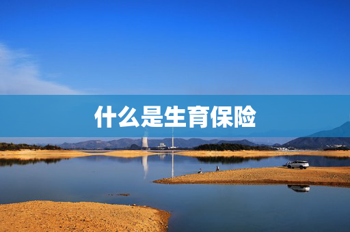 什么是生育保险