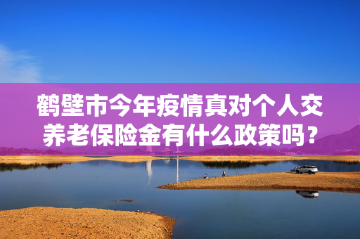 鹤壁市今年疫情真对个人交养老保险金有什么政策吗？