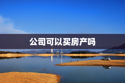 公司可以买房产吗