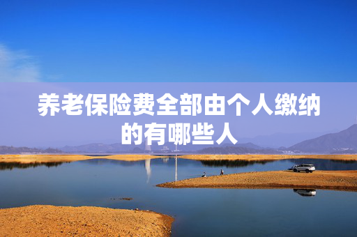 养老保险费全部由个人缴纳的有哪些人