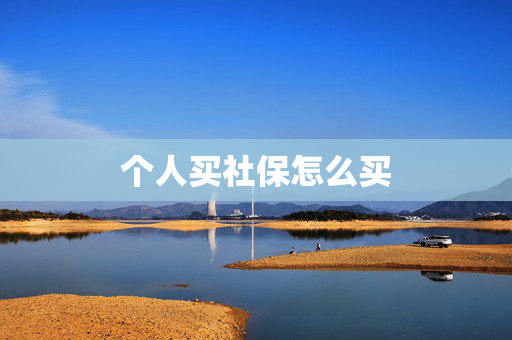 个人买社保怎么买