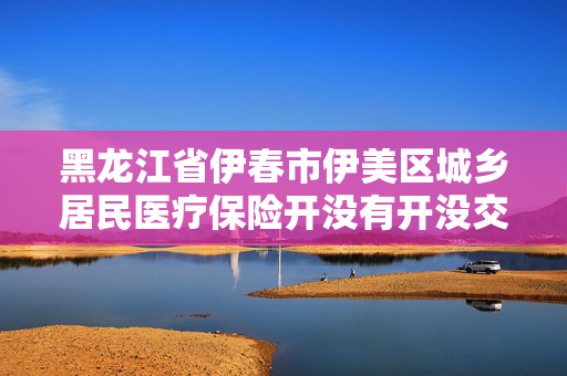 黑龙江省伊春市伊美区城乡居民医疗保险开没有开没交
