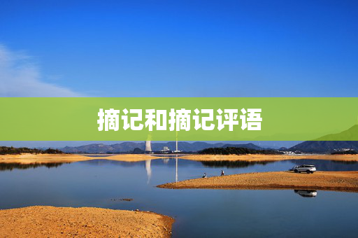 摘记和摘记评语