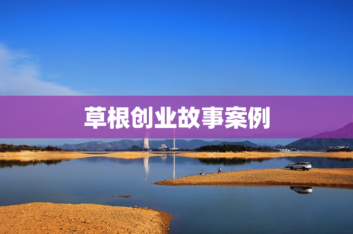 草根创业故事案例