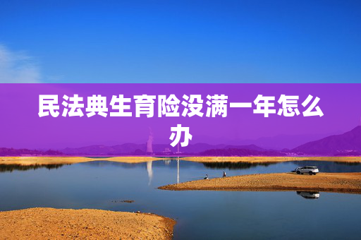 民法典生育险没满一年怎么办