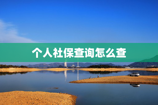 个人社保查询怎么查