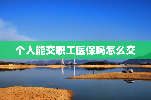 个人能交职工医保吗怎么交