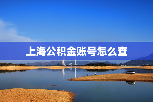 上海公积金账号怎么查