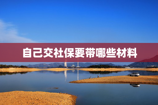 自己交社保要带哪些材料