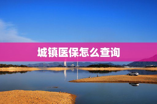 城镇医保怎么查询