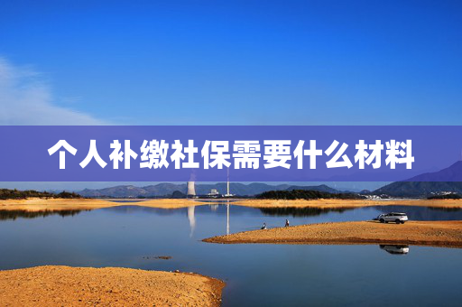 个人补缴社保需要什么材料