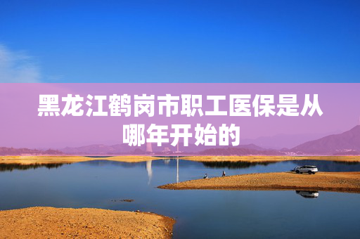 黑龙江鹤岗市职工医保是从哪年开始的