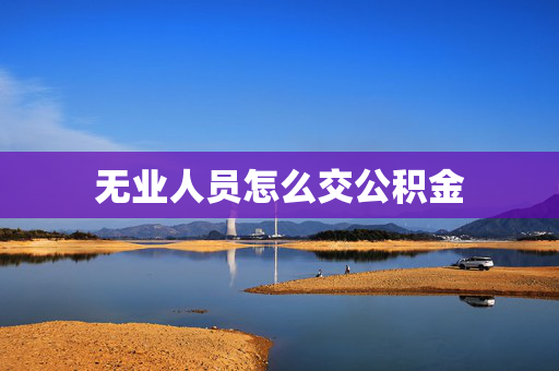 无业人员怎么交公积金