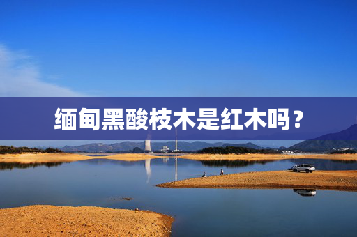 缅甸黑酸枝木是红木吗？