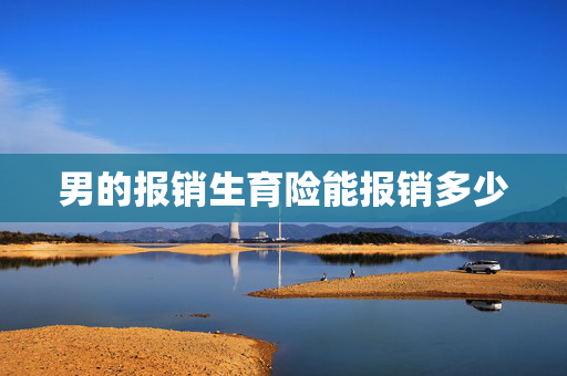 男的报销生育险能报销多少