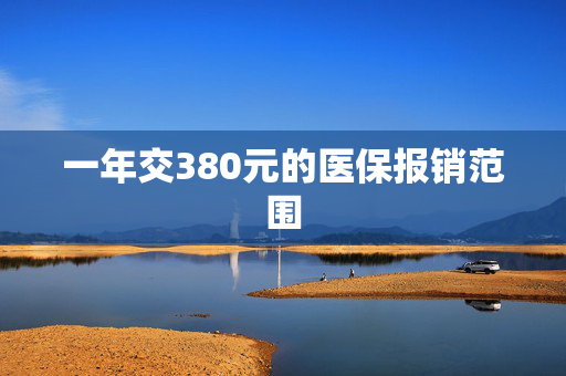 一年交380元的医保报销范围