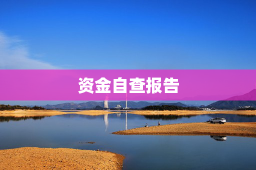 资金自查报告