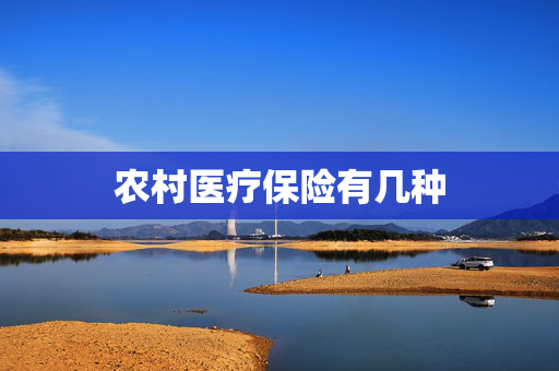 农村医疗保险有几种