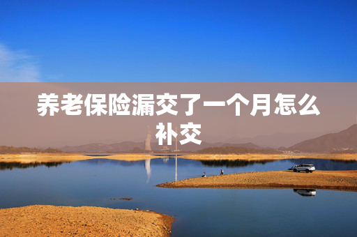 养老保险漏交了一个月怎么补交
