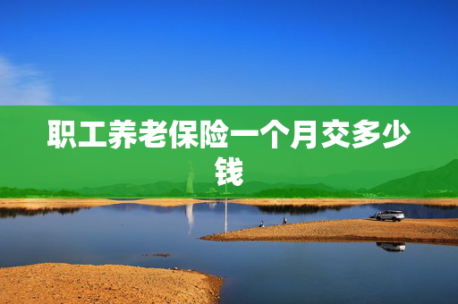 职工养老保险一个月交多少钱