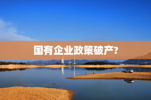 国有企业政策破产?